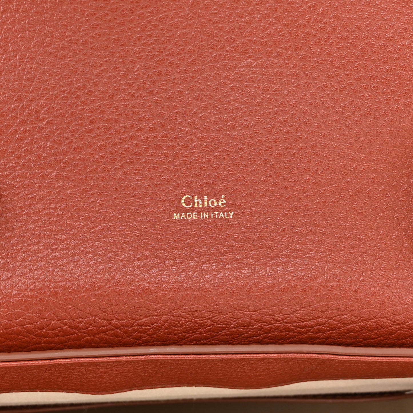 Shiny Grained Calfskin Medium Aby Day Shoulder Bag Sepia Brown