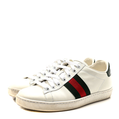 Gucci Calfskin Crocodile Web Womens Ace Sneakers 35 White Green 4 of 9
