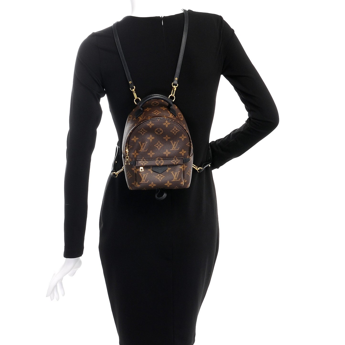 Monogram Palm Springs Backpack Mini