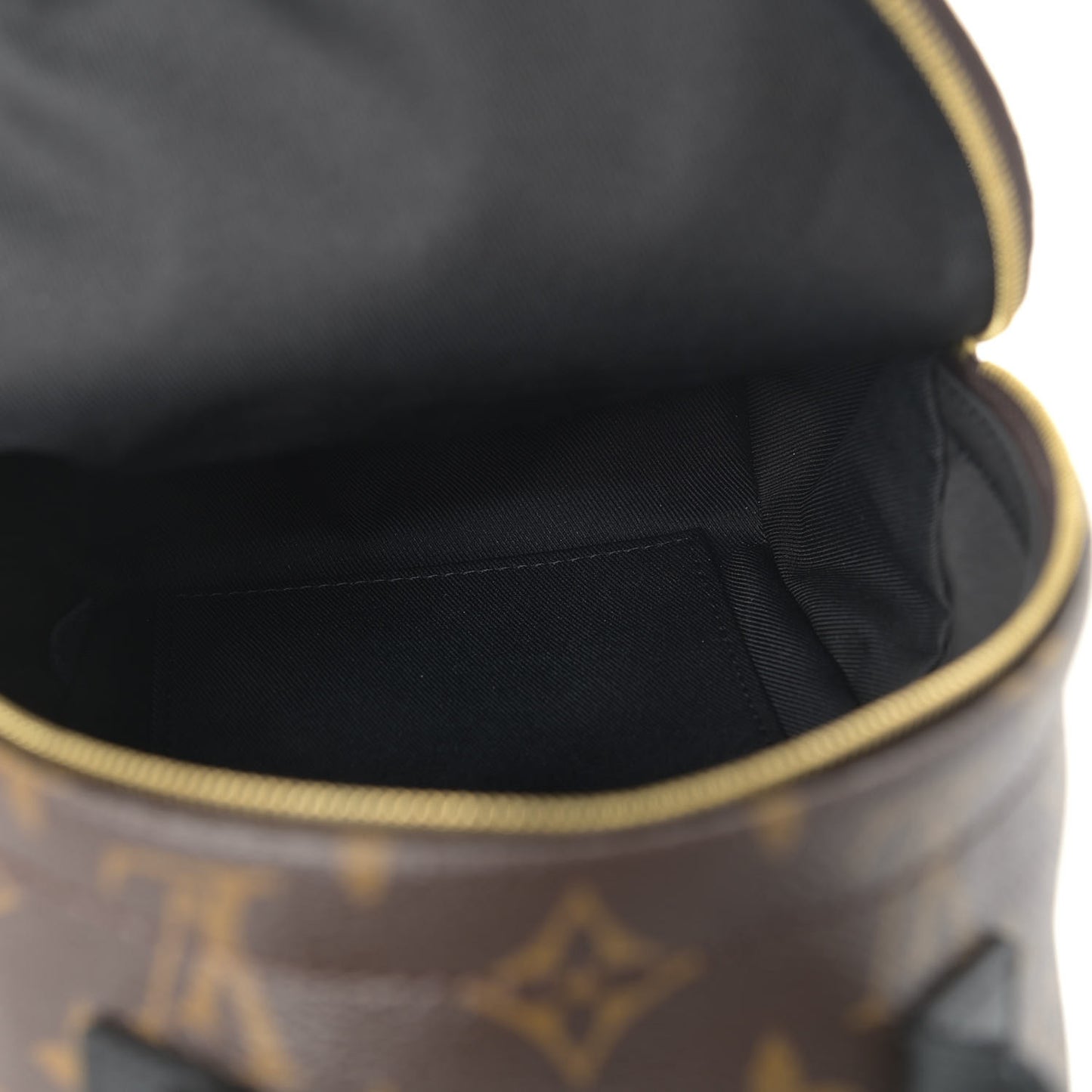 Monogram Palm Springs Backpack Mini