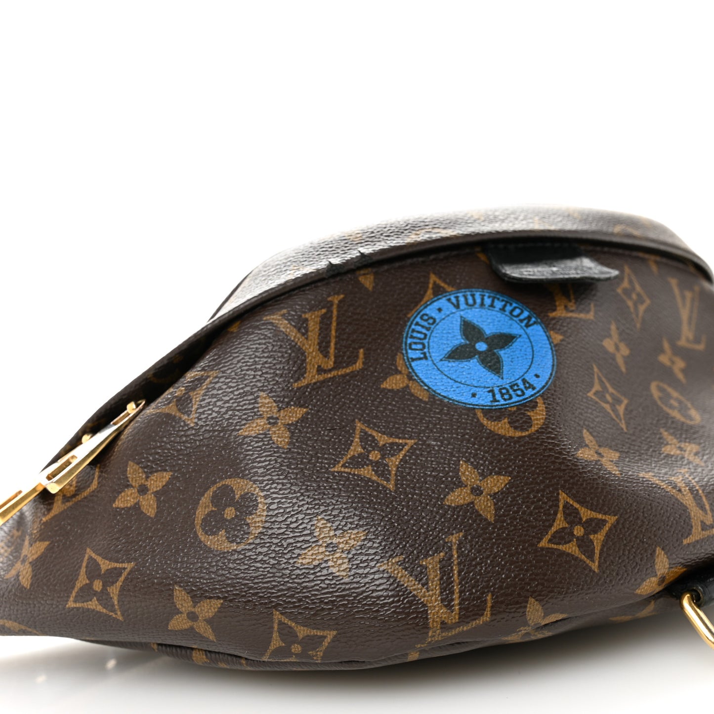Monogram My LV World Tour Bumbag