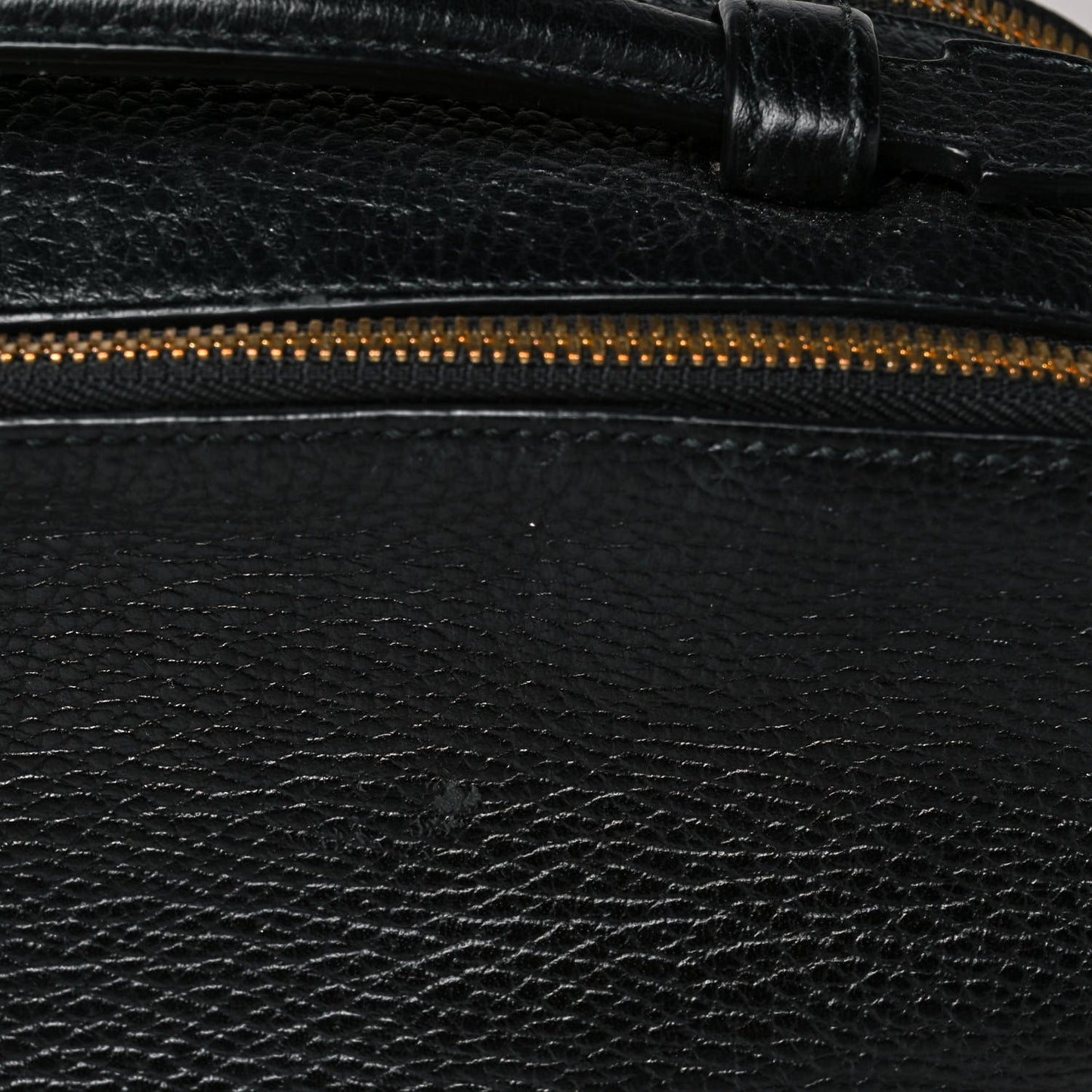 Grained Calfskin Sylvie Web Kingsnake Small Camera Bag Black Multicolor