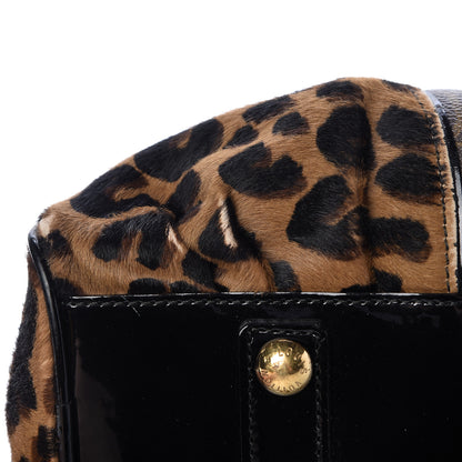 Louis Vuitton Monogram Leopard Adele 14 of 18