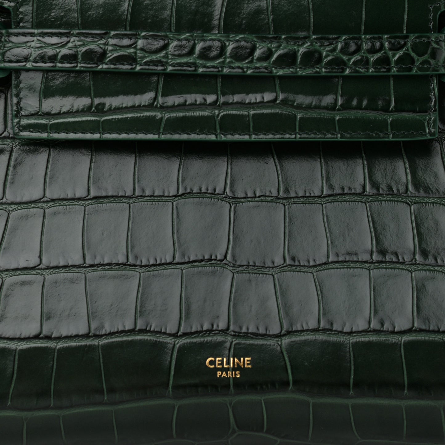 Calfskin Crocodile Embossed Micro Belt Bag Amazone