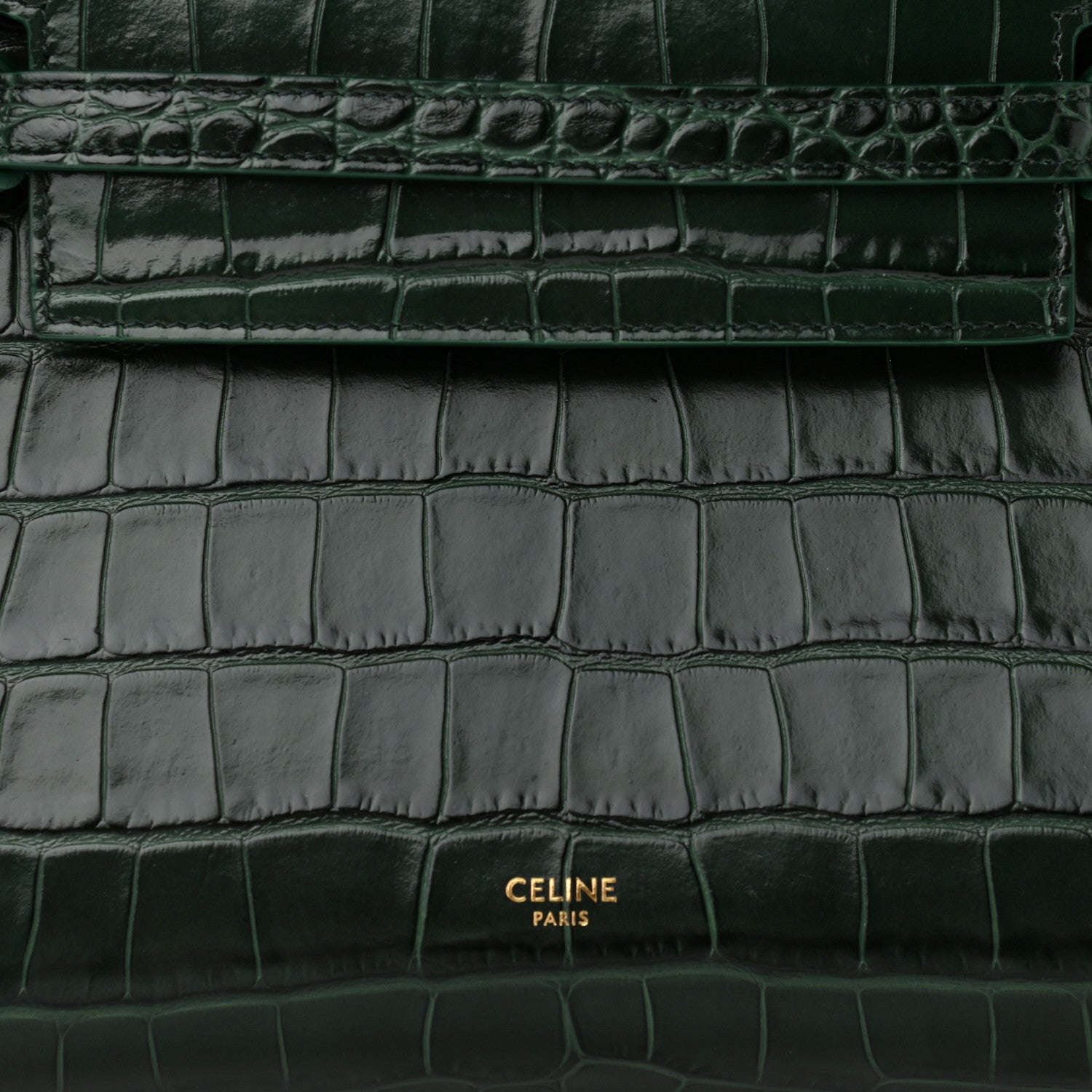 Celine Calfskin Crocodile Embossed Micro Belt Bag Amazone 9 of 12