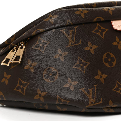 Louis Vuitton Monogram Bumbag 10 of 13