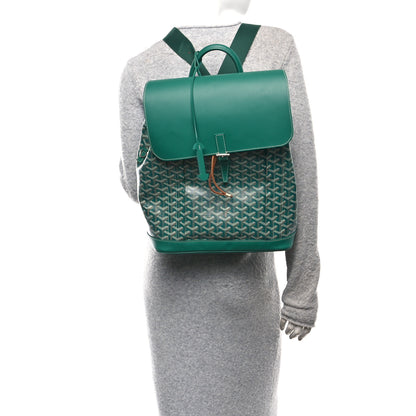 Goyard Goyardine Calfskin Alpin MM Backpack Green 2 of 9