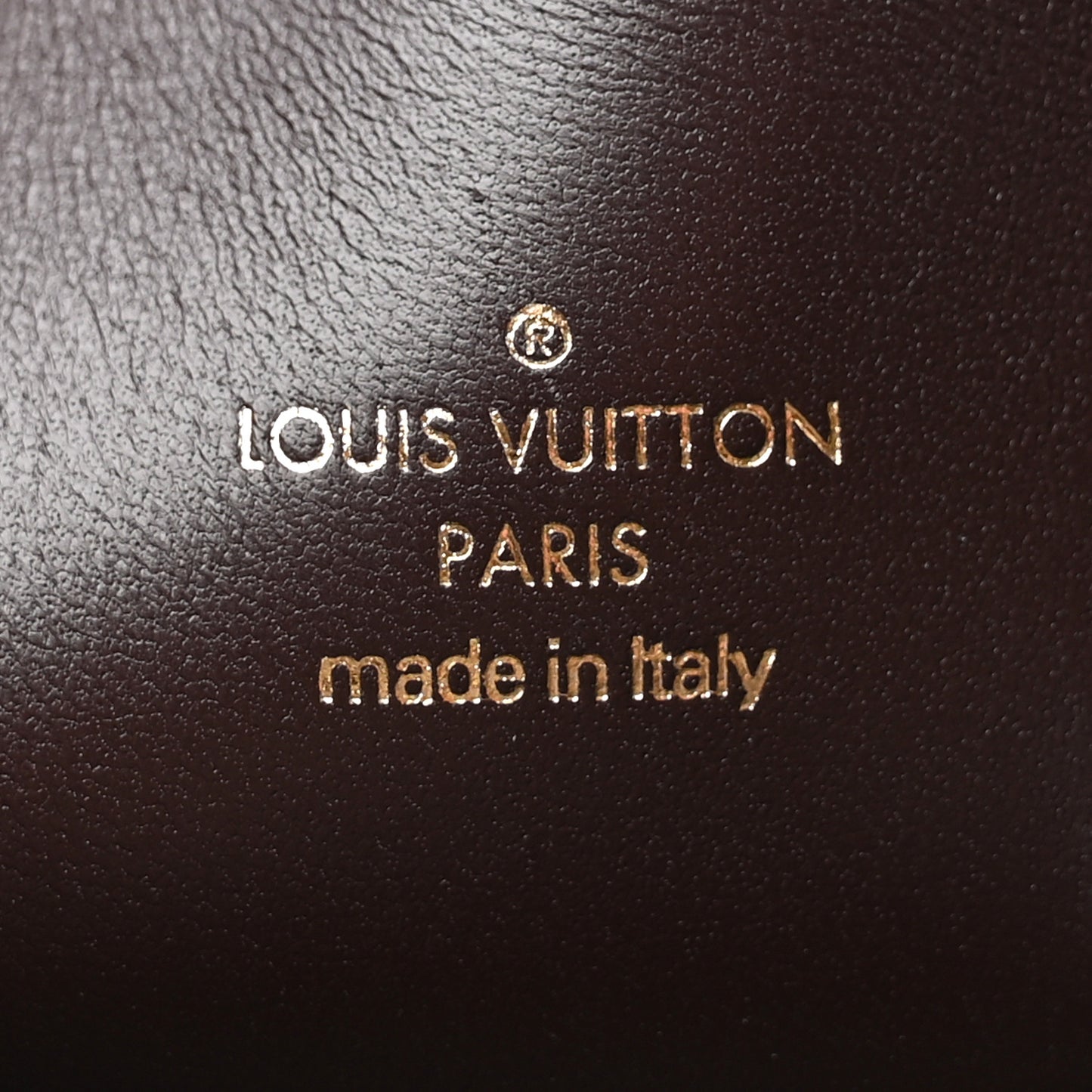 Monogram Mink Neo Pochette Vision Milla Brown