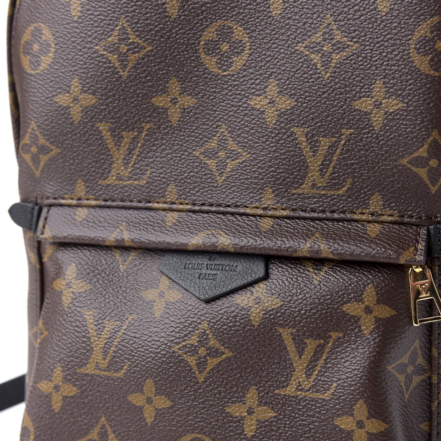 Monogram Palm Springs Backpack PM