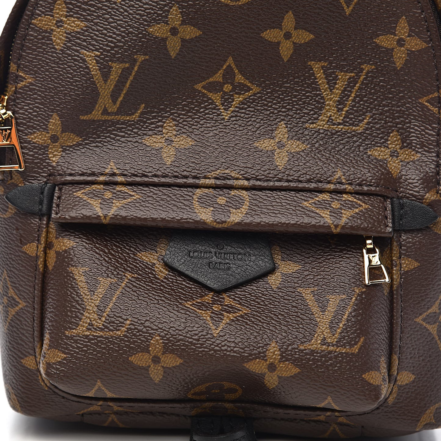 Monogram Palm Springs Backpack Mini