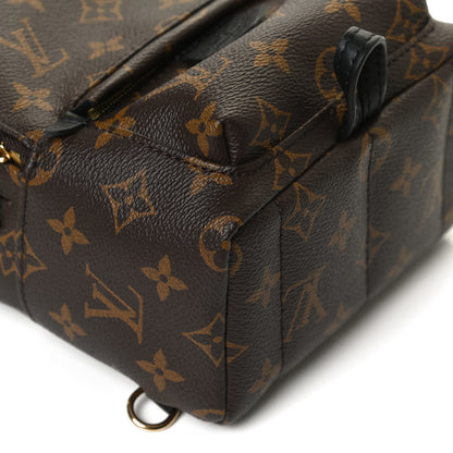 Louis Vuitton Monogram Palm Springs Backpack Mini 12 of 12