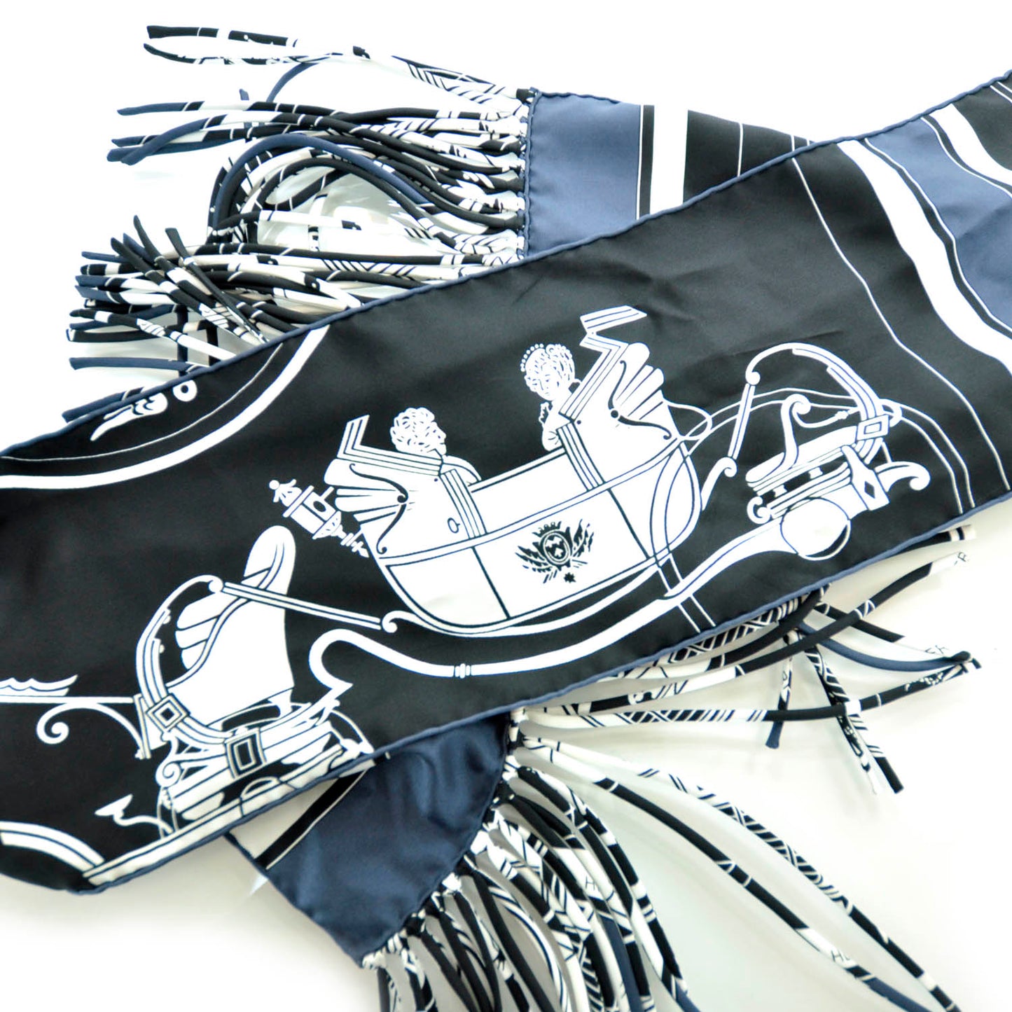 Silk Ex Libris Fringe Scarf