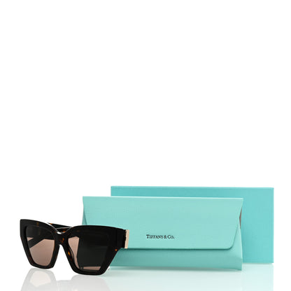 Tiffany Acetate Metal Deco T Sunglasses Brown 8 of 8