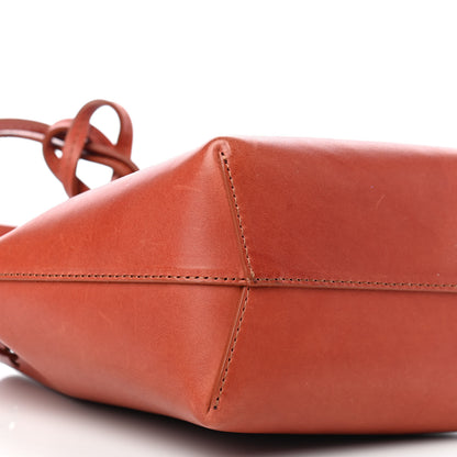 Mansur Gavriel Calfskin Mini Bucket Bag Brandy 6 of 7