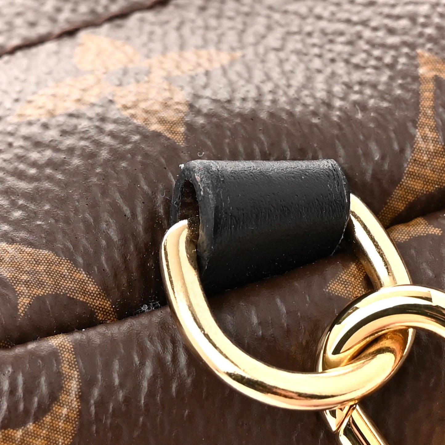Monogram Palm Springs Backpack Mini