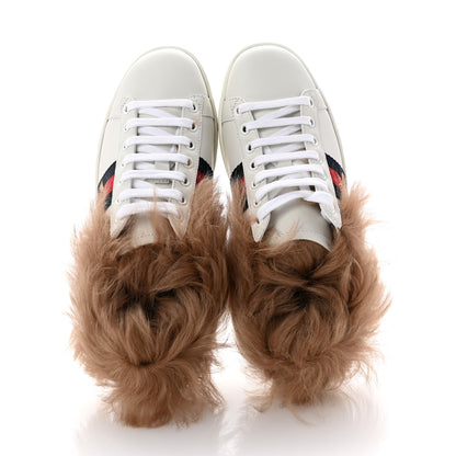 Gucci Calfskin Wool Web Bee Embroidered Womens Ace Sneakers 35 White 2 of 9