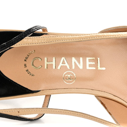Chanel Lambskin Pointed Cap Toe CC Slingback Heels 39 Beige Black 7 of 14