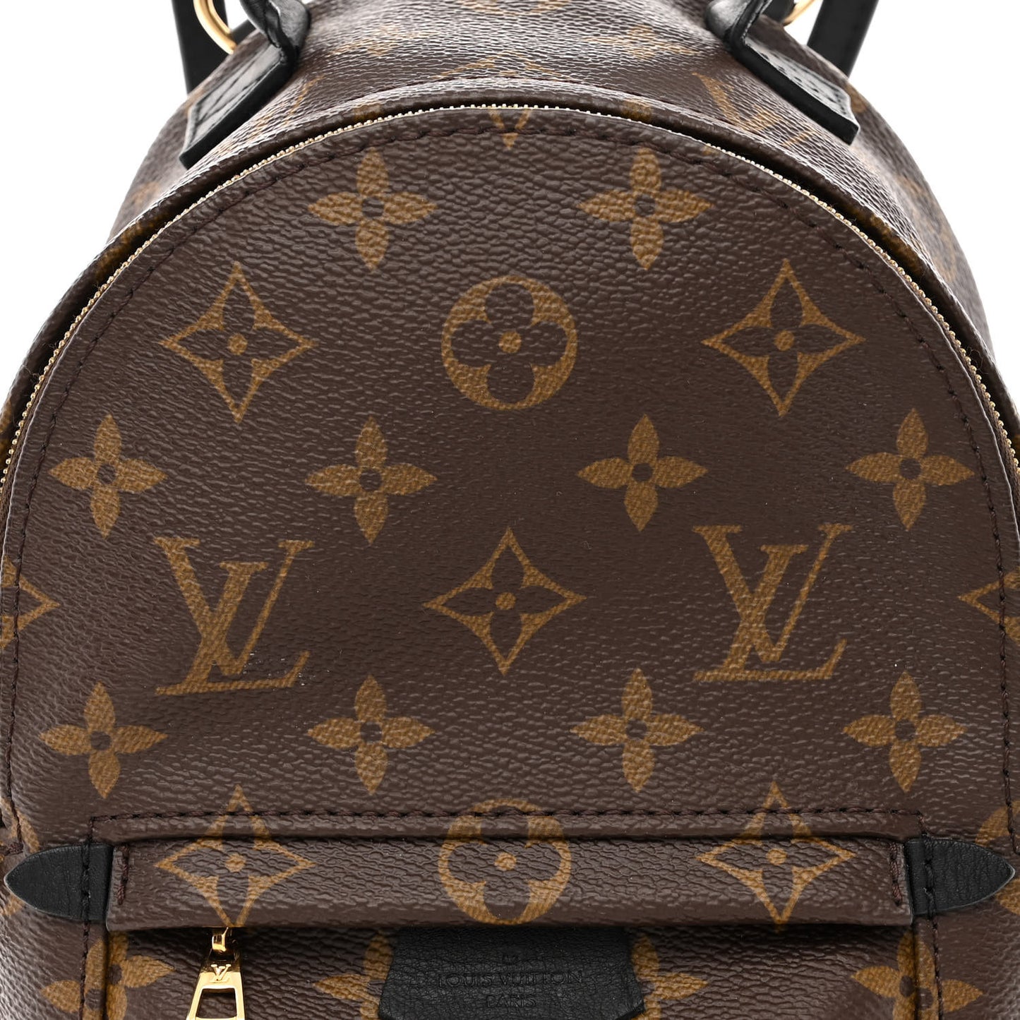 Monogram Palm Springs Backpack Mini