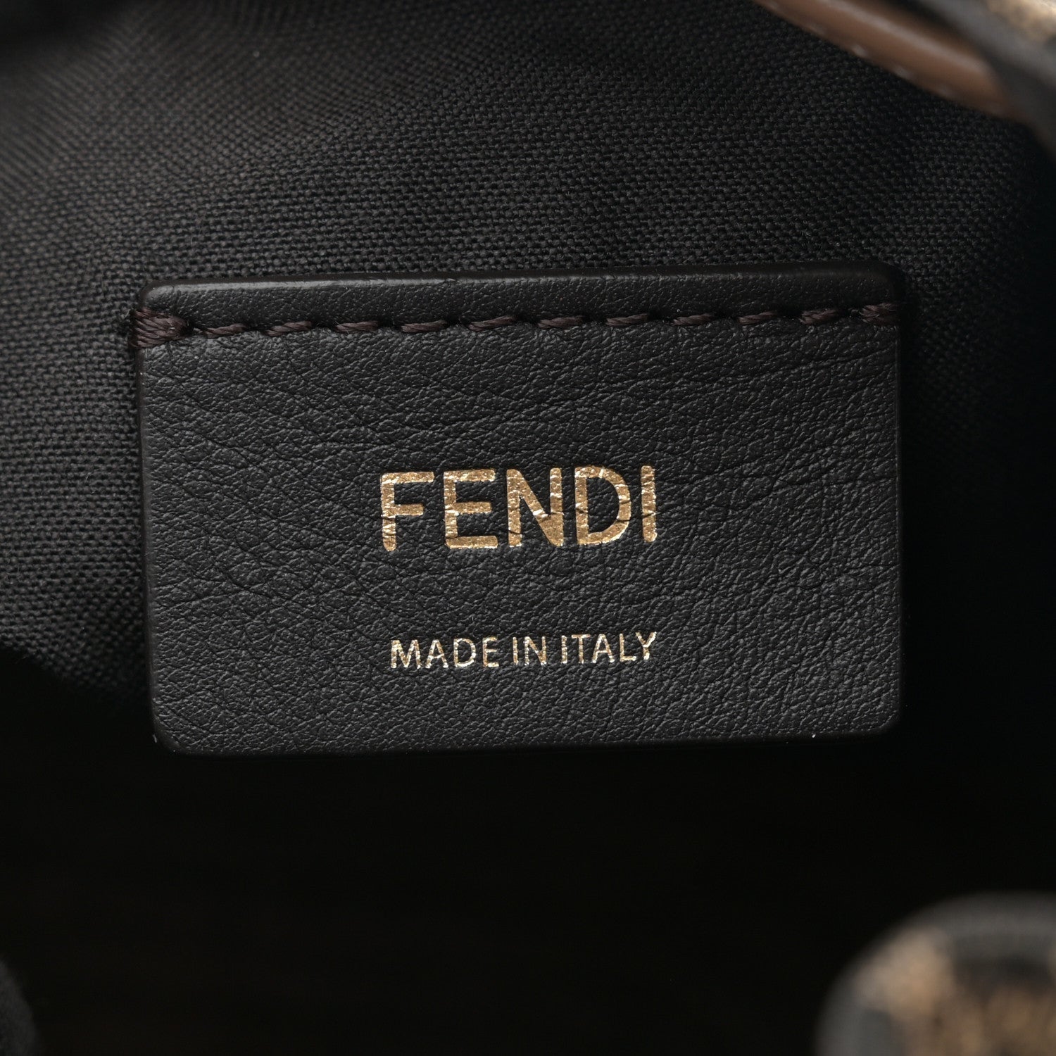 Fendi Fabric Jacquard Vitello Grace Raffia FF 1974 Logo Mini Mon Tresor Bucket Bag Tobacco Moro Sand 6 of 11