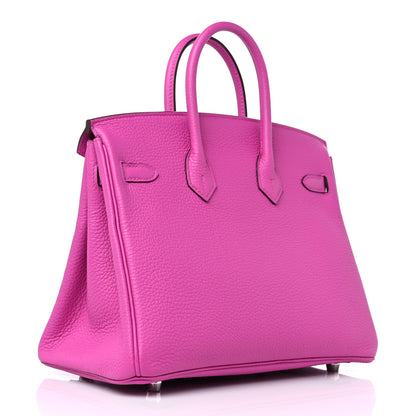 Hermes Togo Birkin 25 Magnolia 4 of 12