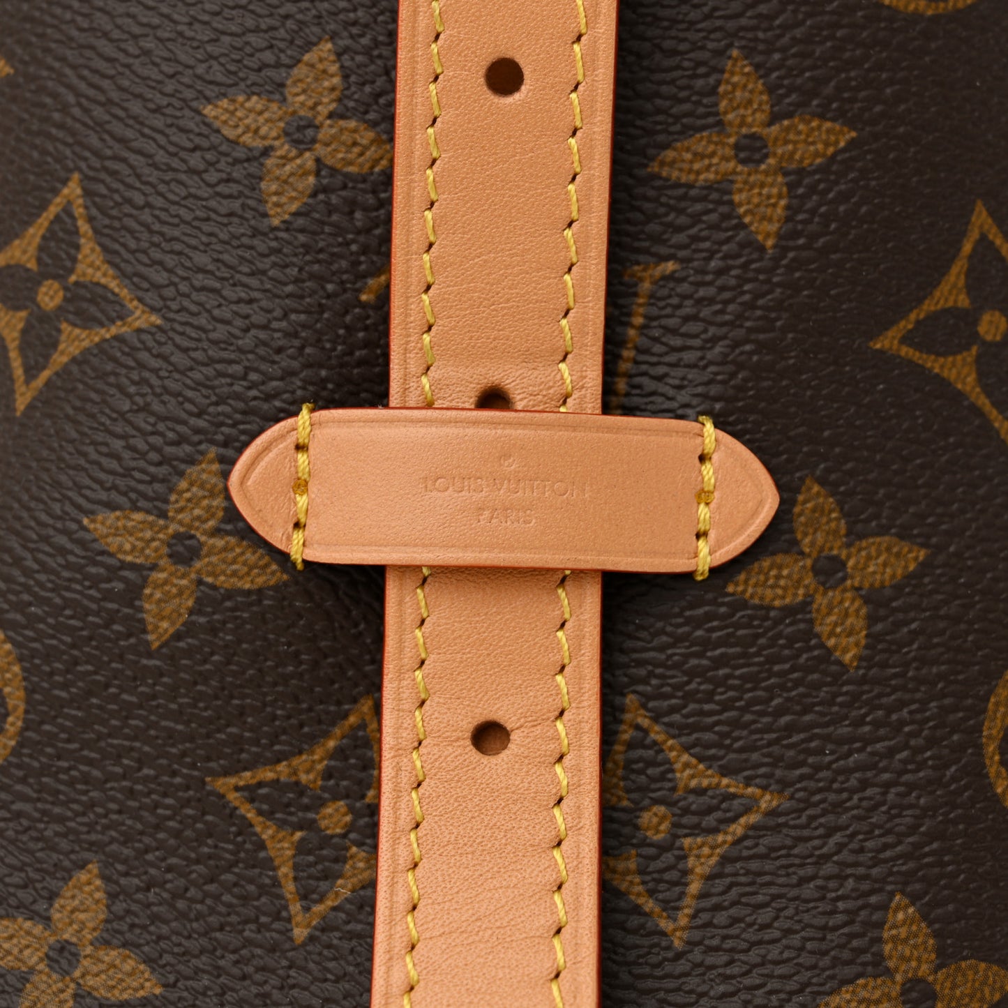 Monogram Carryall MM
