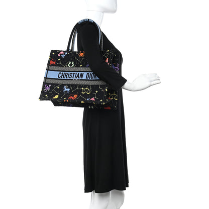 Christian Dior Canvas Embroidered Medium Pixel Zodiac Book Tote Black Multicolor 2 of 10