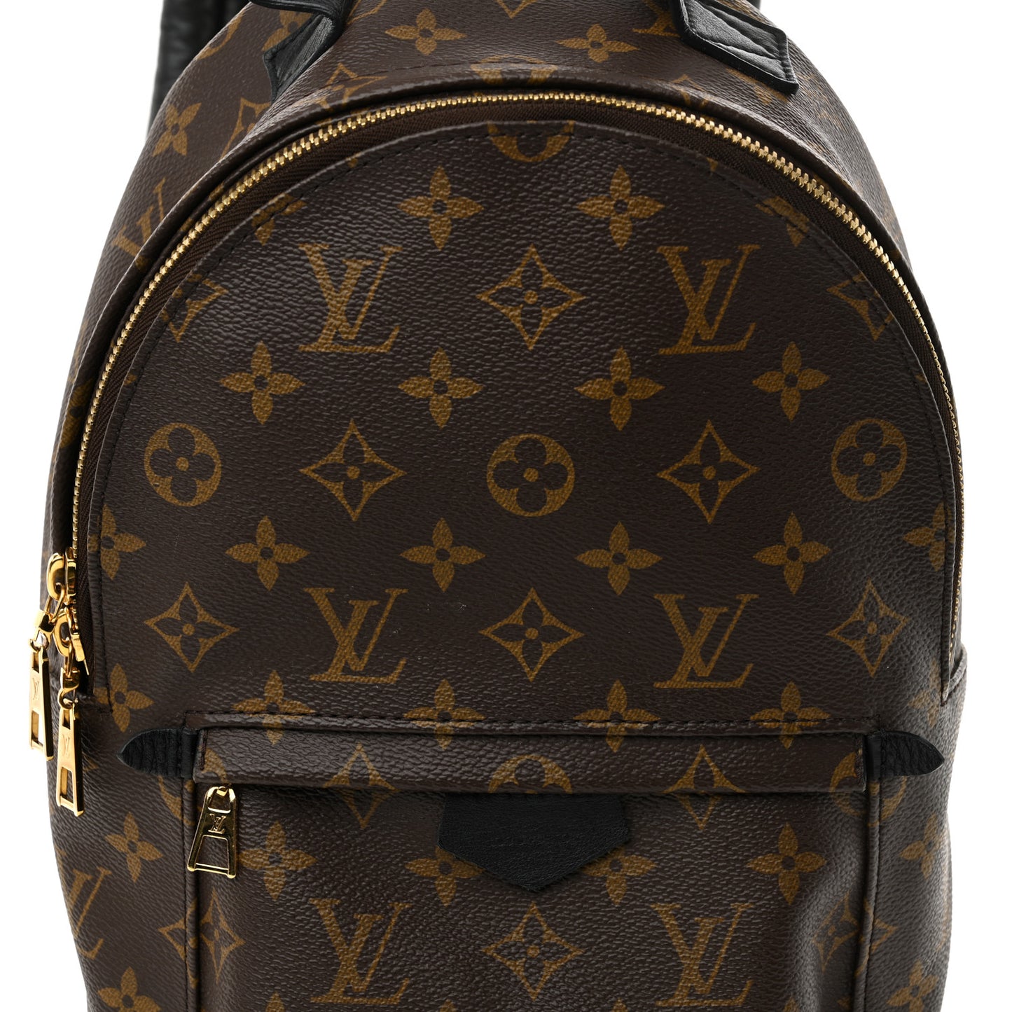 Monogram Palm Springs Backpack PM