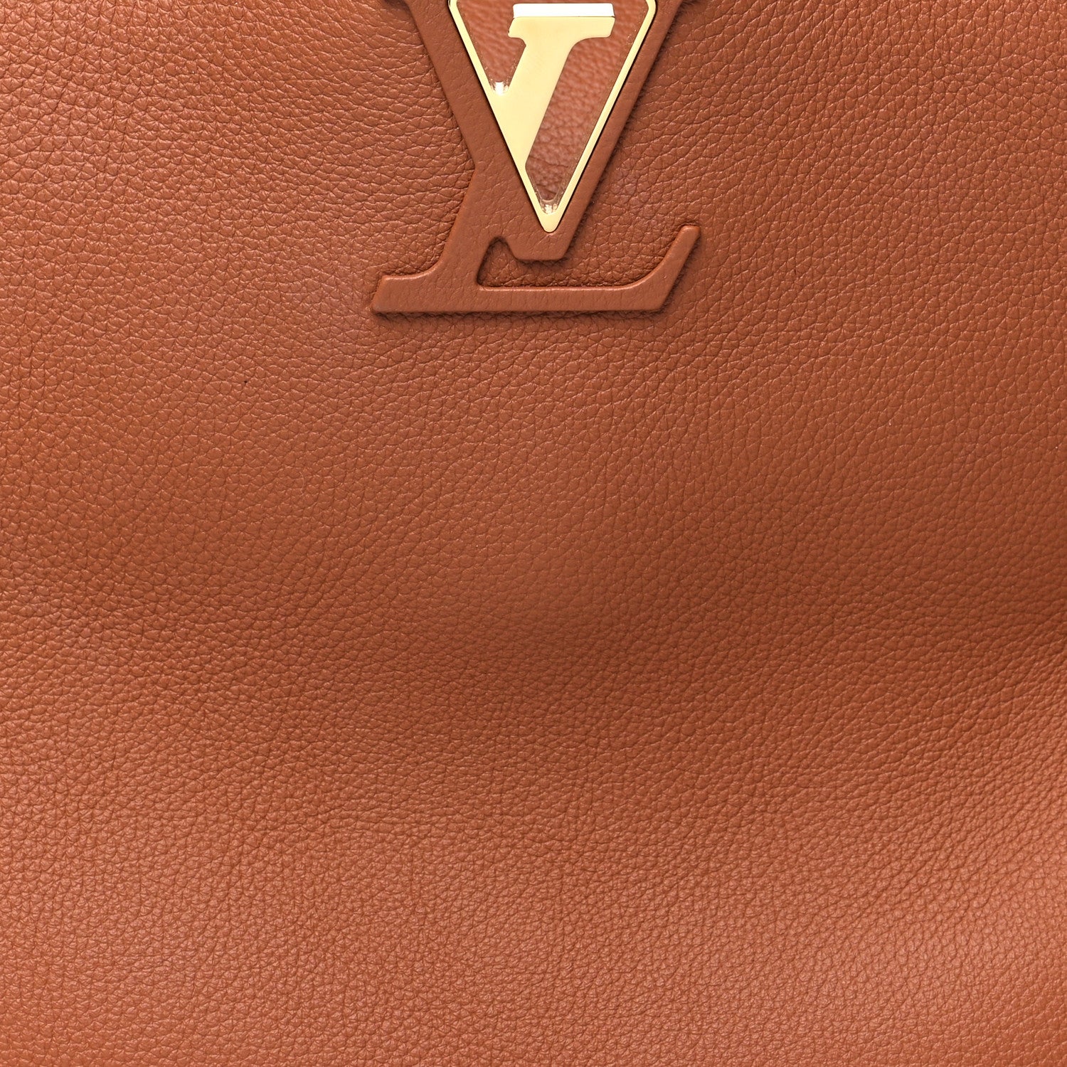 Louis Vuitton Smooth Grained Calfskin Capucines GM Souple Cognac 7 of 10