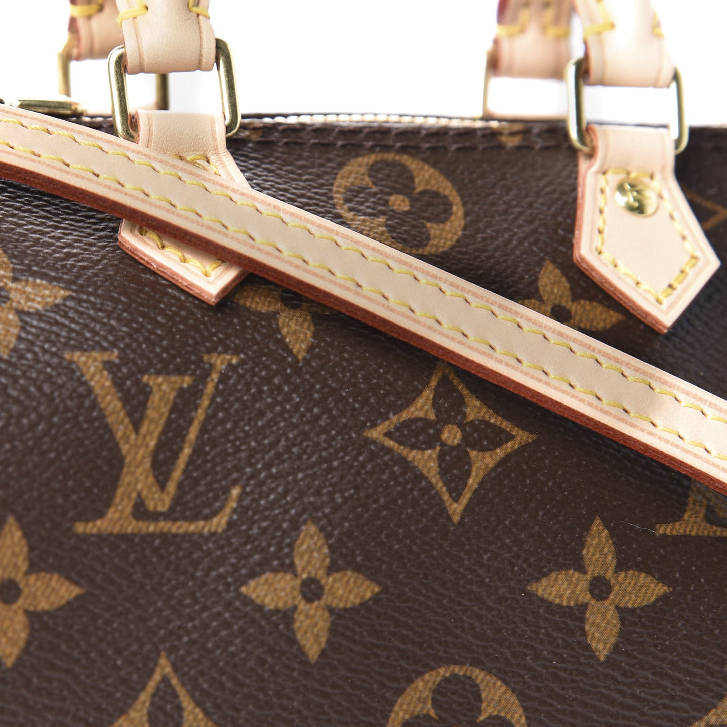 Monogram Nano Speedy