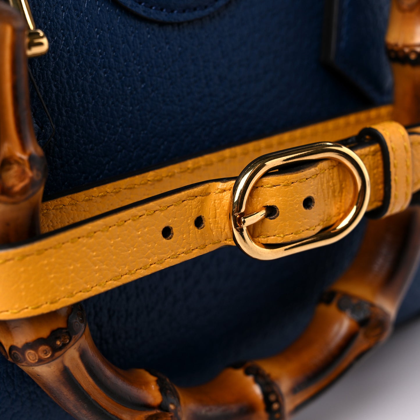 Textured Dollar Calfskin Web Mini Diana Tote Bag Royal Crop