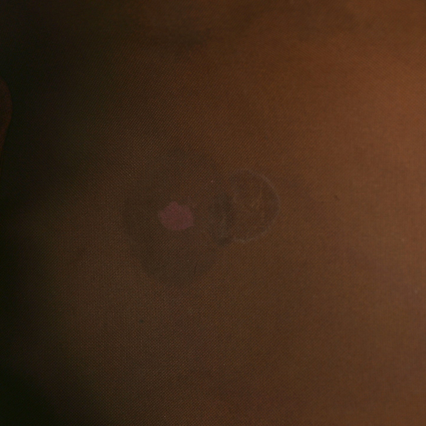 Monogram Speedy Bandouliere 40