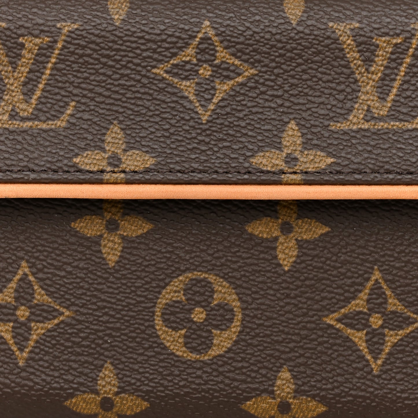 Monogram Pochette Florentine XS