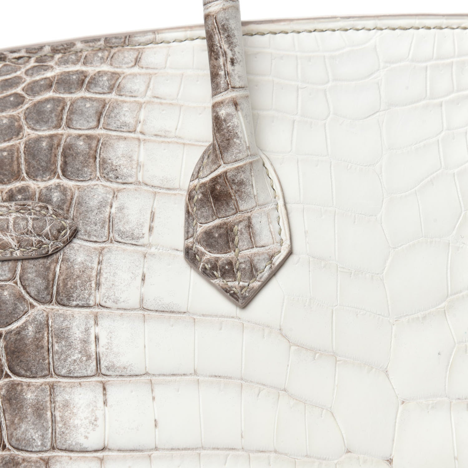 Hermes Matte Niloticus Crocodile Himalaya Birkin 25 Blanc 772025