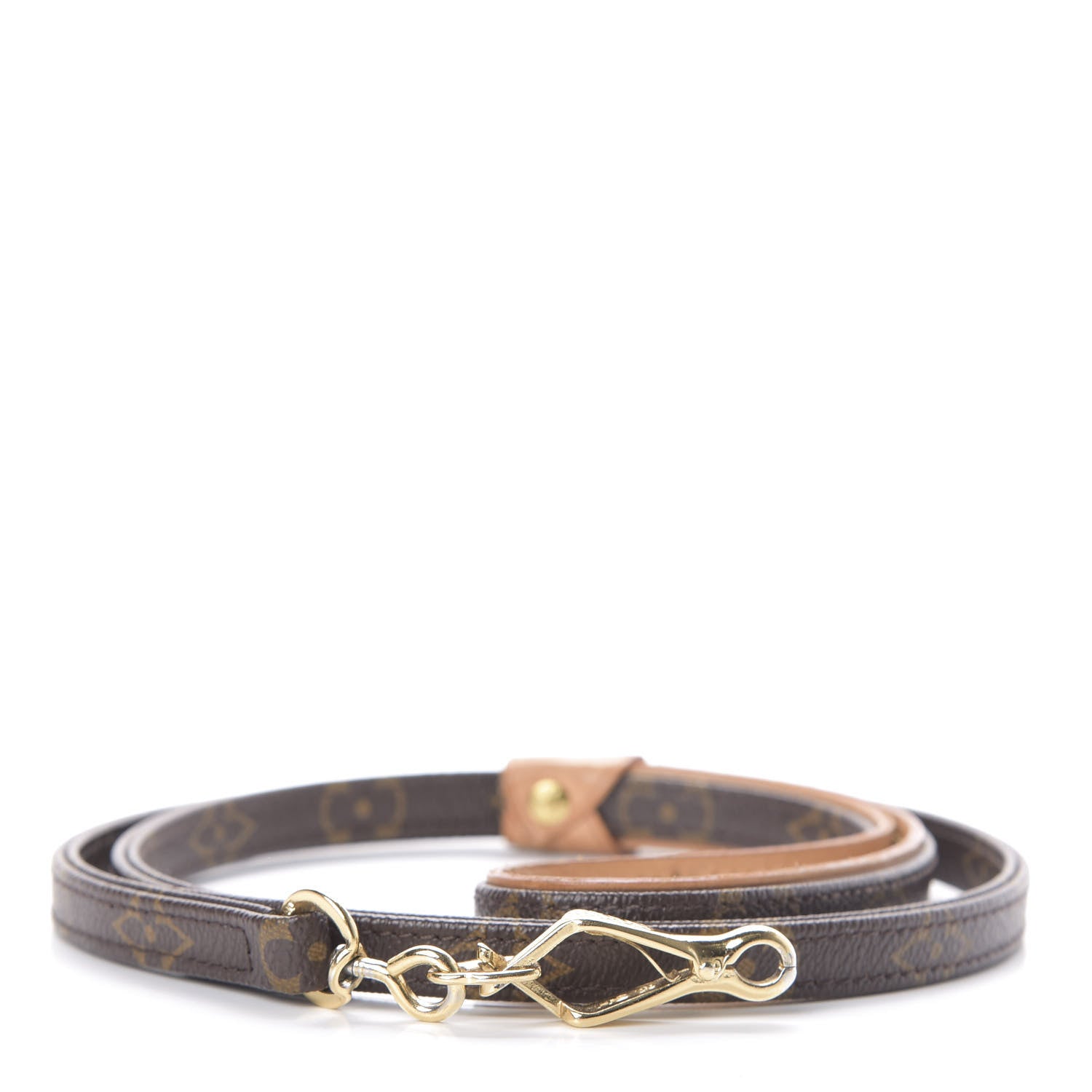 Louis Vuitton Monogram Baxter Dog Leash 1 of 4