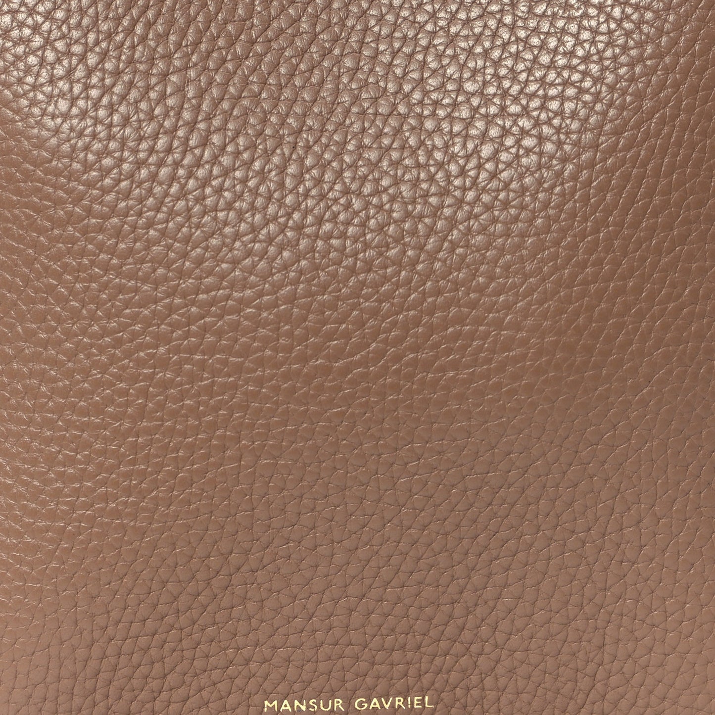 Pebbled Calfskin Small Everyday Cabas Biscotto