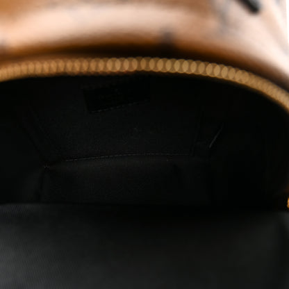 Louis Vuitton Reverse Monogram Palm Springs Backpack Mini 5 of 10