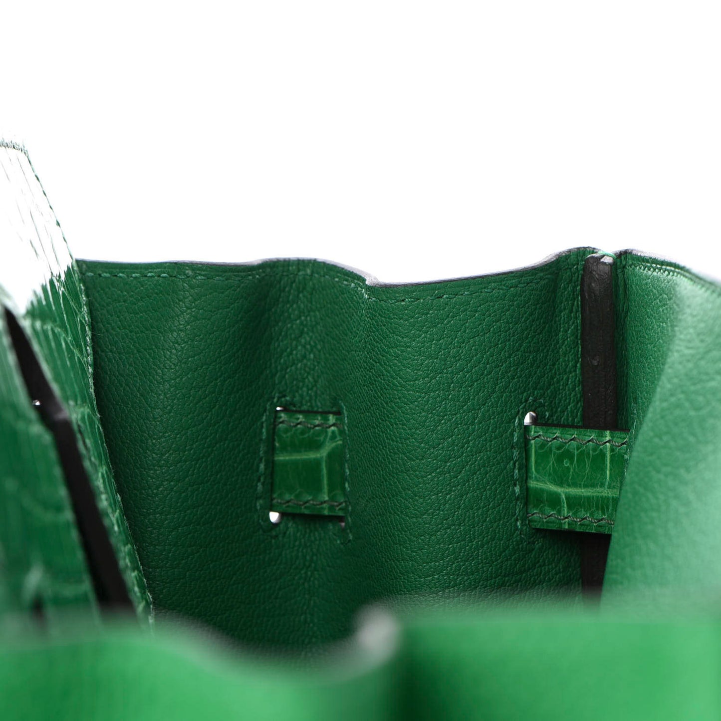 Togo Shiny Niloticus Crocodile Birkin Touch 30 Bamboo Cactus