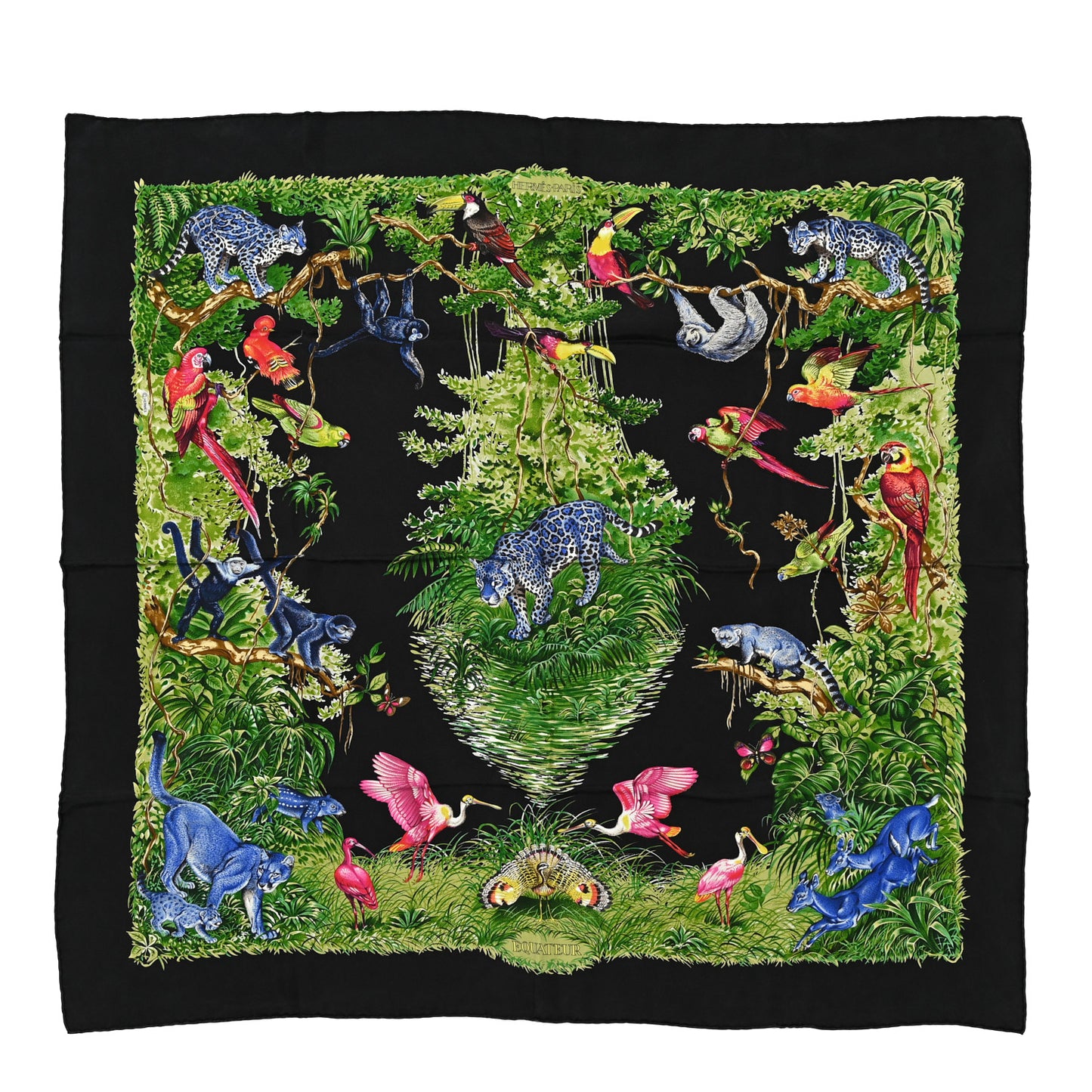 Silk Equateur Scarf 90 Black Vert Bleu
