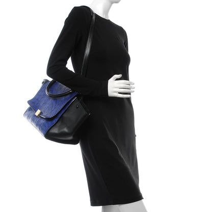 Celine Python Calfskin Medium Trapeze Blue Black 2 of 24