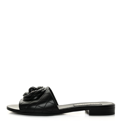Chanel Lambskin Quilted Camellia CC Slides 39 Black 1 of 9