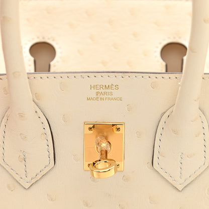 Hermes Ostrich Birkin 25 Nata 6 of 11