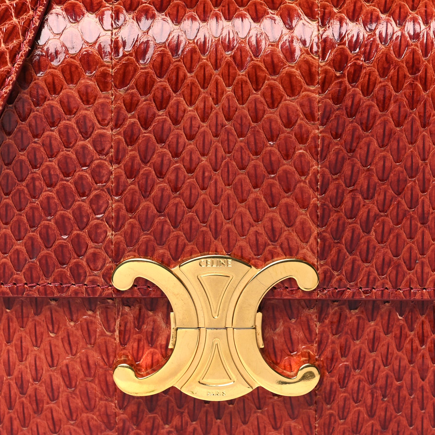 Celine Watersnake Teen Triomphe Ruby 8 of 10