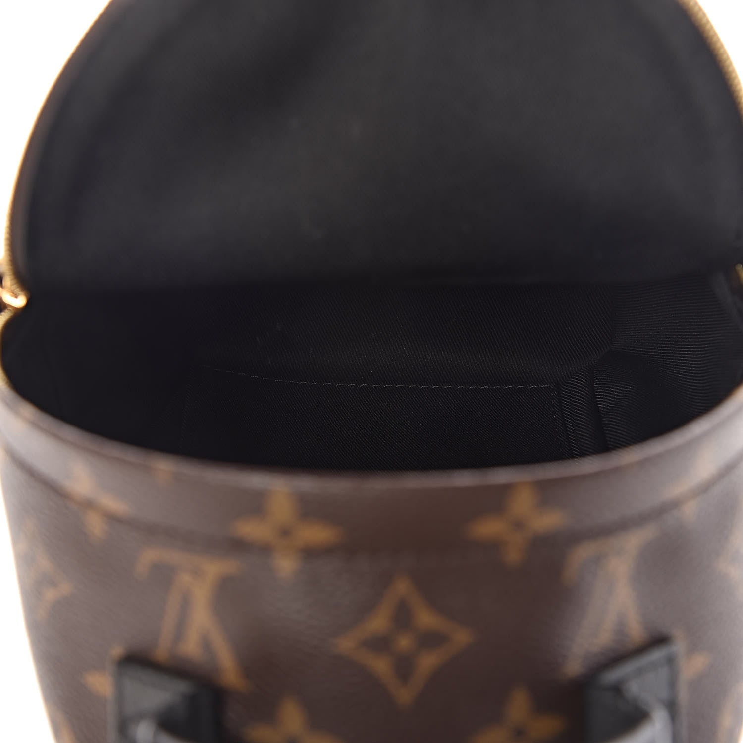 Louis Vuitton Monogram Palm Springs Backpack Mini 5 of 13