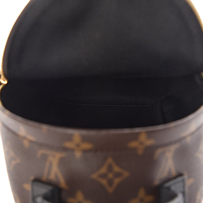 Louis Vuitton Monogram Palm Springs Backpack Mini 5 of 13