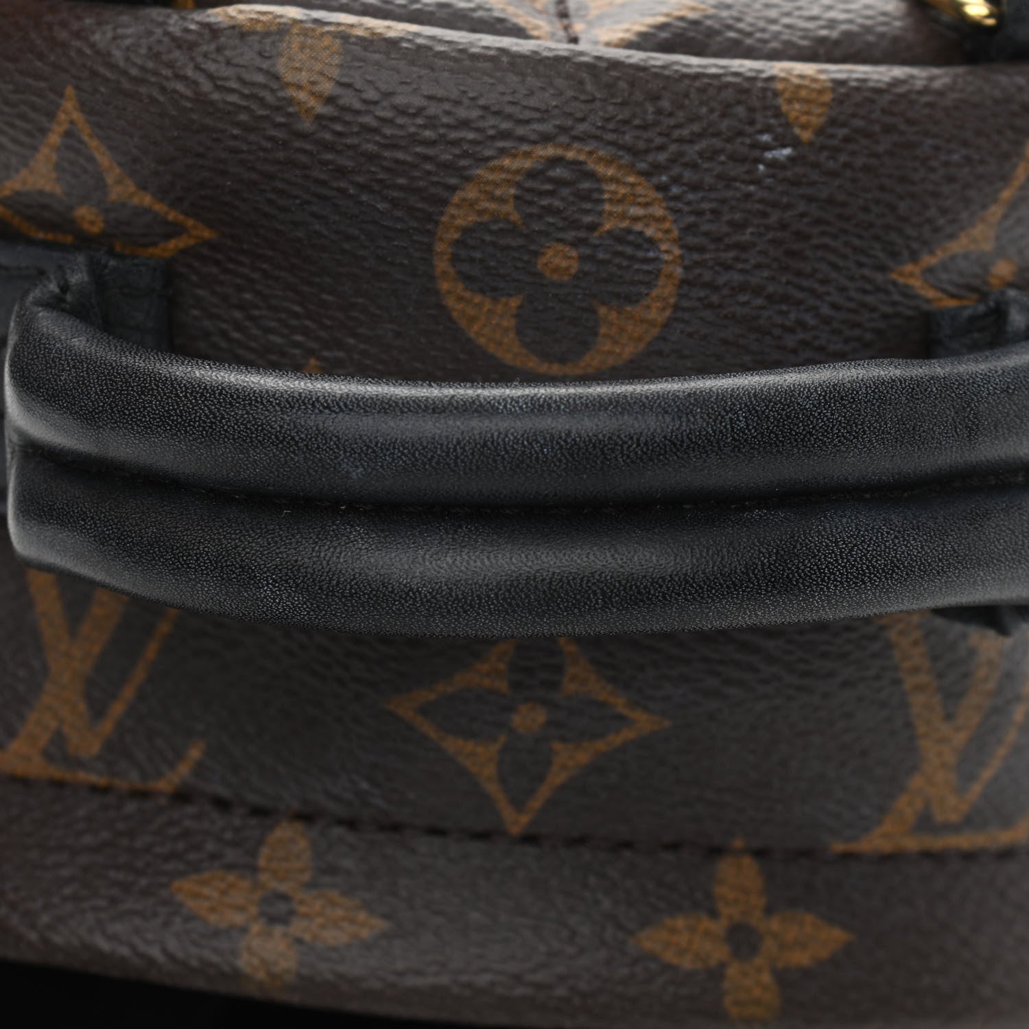 Louis Vuitton Monogram Palm Springs Backpack Mini 15 of 19