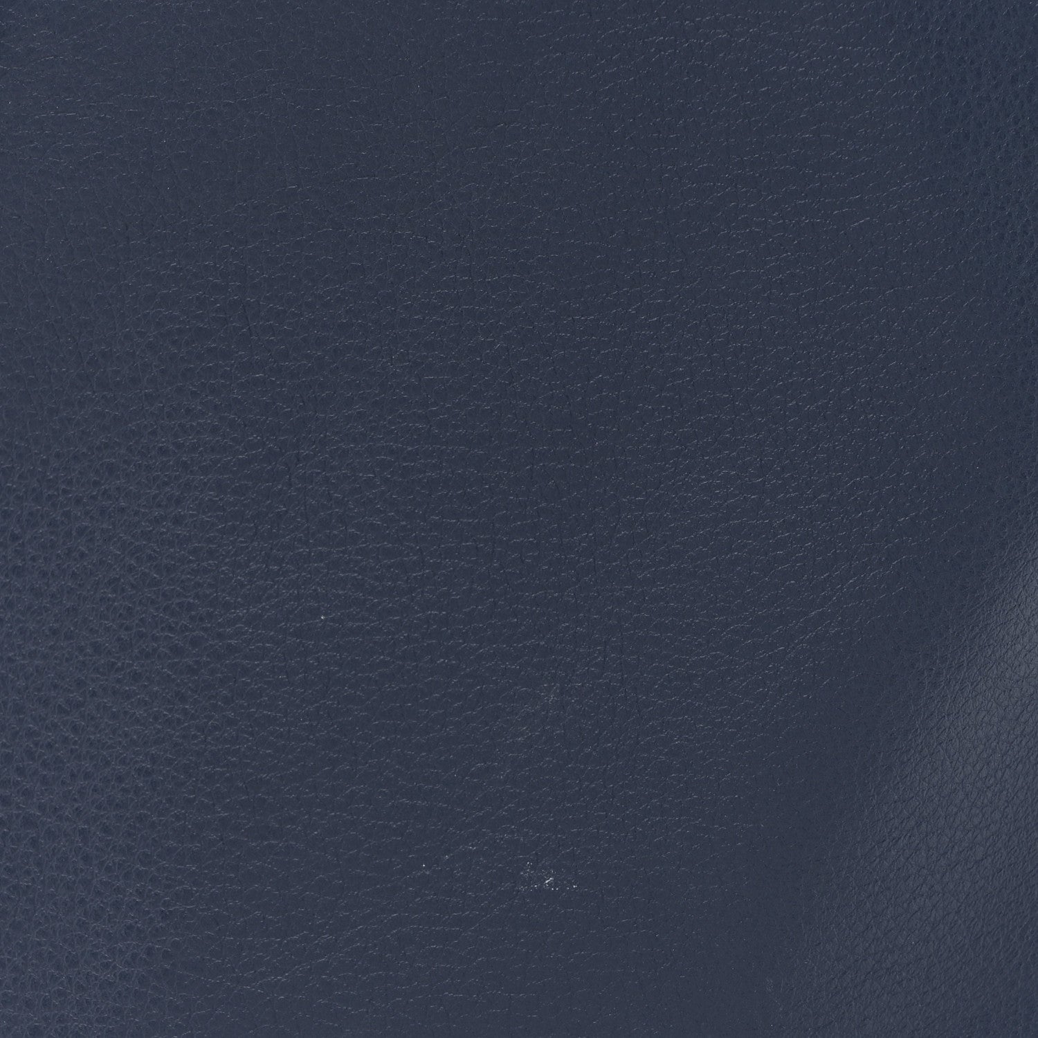 Goyard Goyardine Reversible Mini Anjou Navy 12 of 16