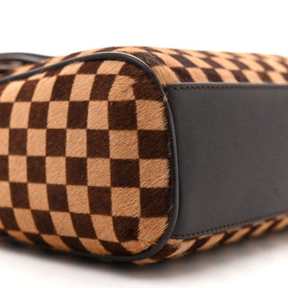 Louis Vuitton Damier Calf Hair Sauvage Lionne 8 of 11