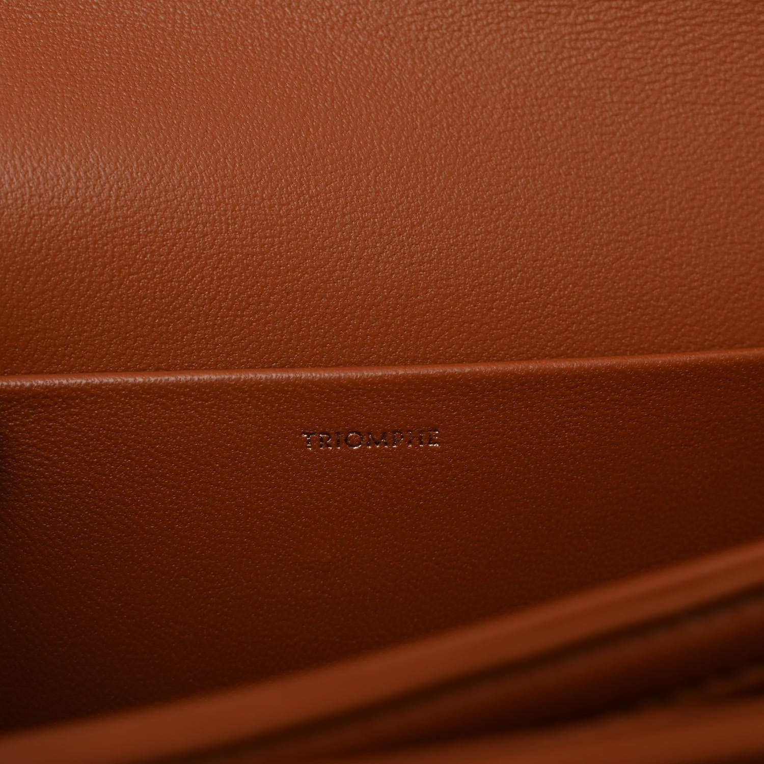 Celine Natural Calfskin Medium Triomphe Tan 7 of 12