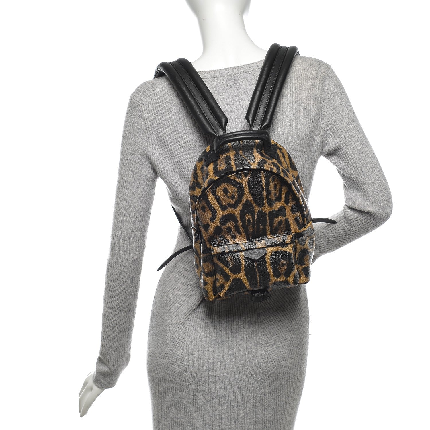 Louis Vuitton Wild Animal Print Palm Springs Backpack PM 2 of 7
