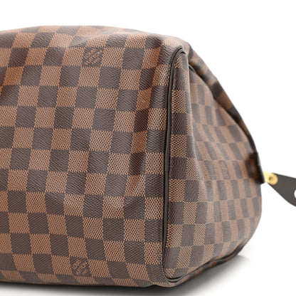 Louis Vuitton Damier Ebene Speedy 30 10 of 11